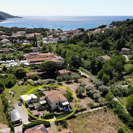 Oleandro - Giardini E Terrazze *